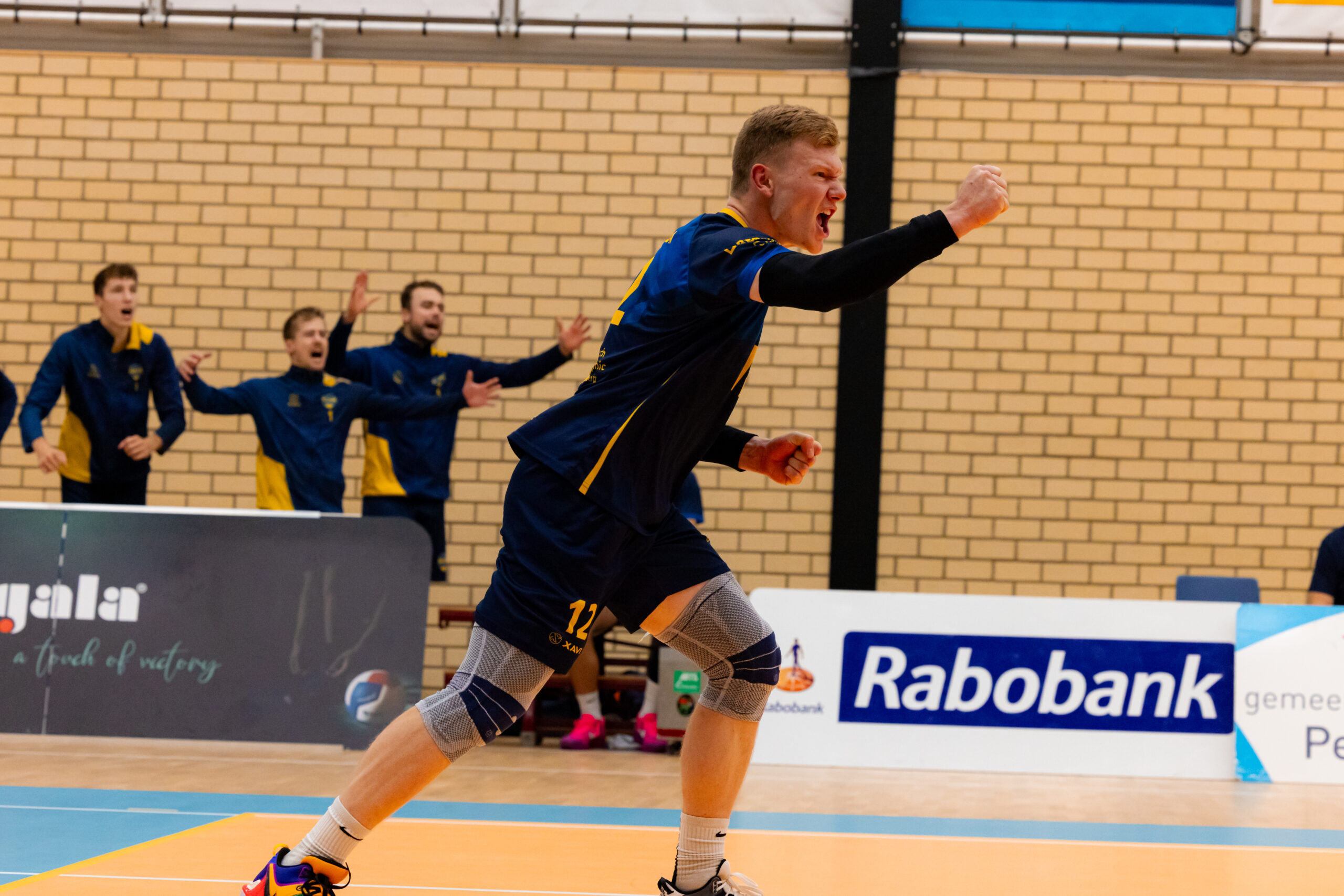 Achtergrond afbeelding