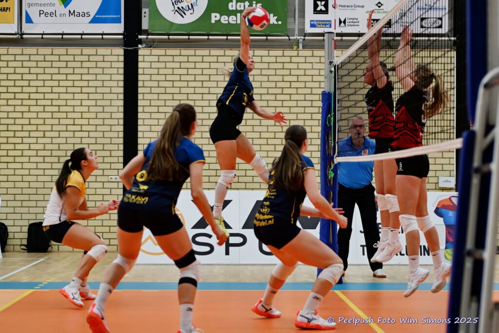 D1-Activia 28-9-25_011