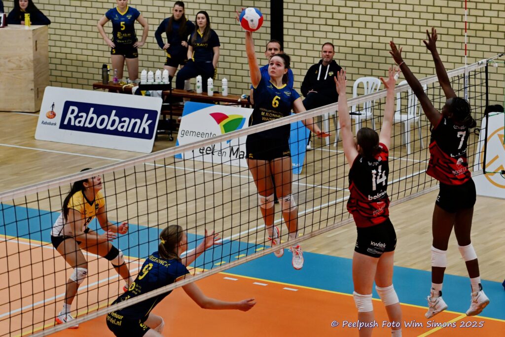 D1-Activia 28-9-25_024