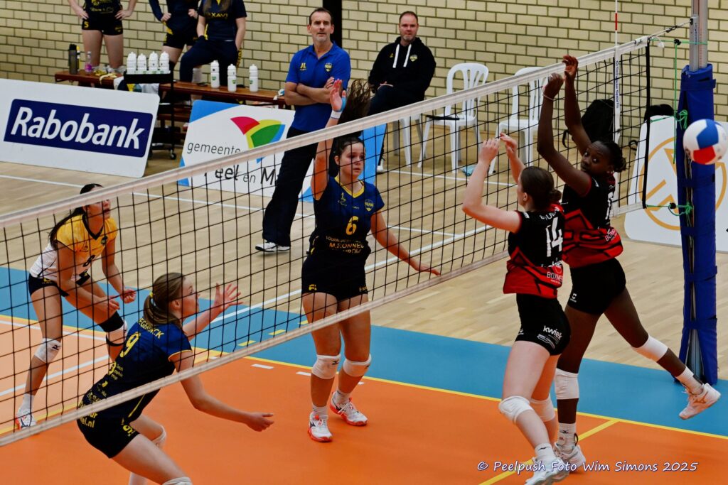 D1-Activia 28-9-25_025