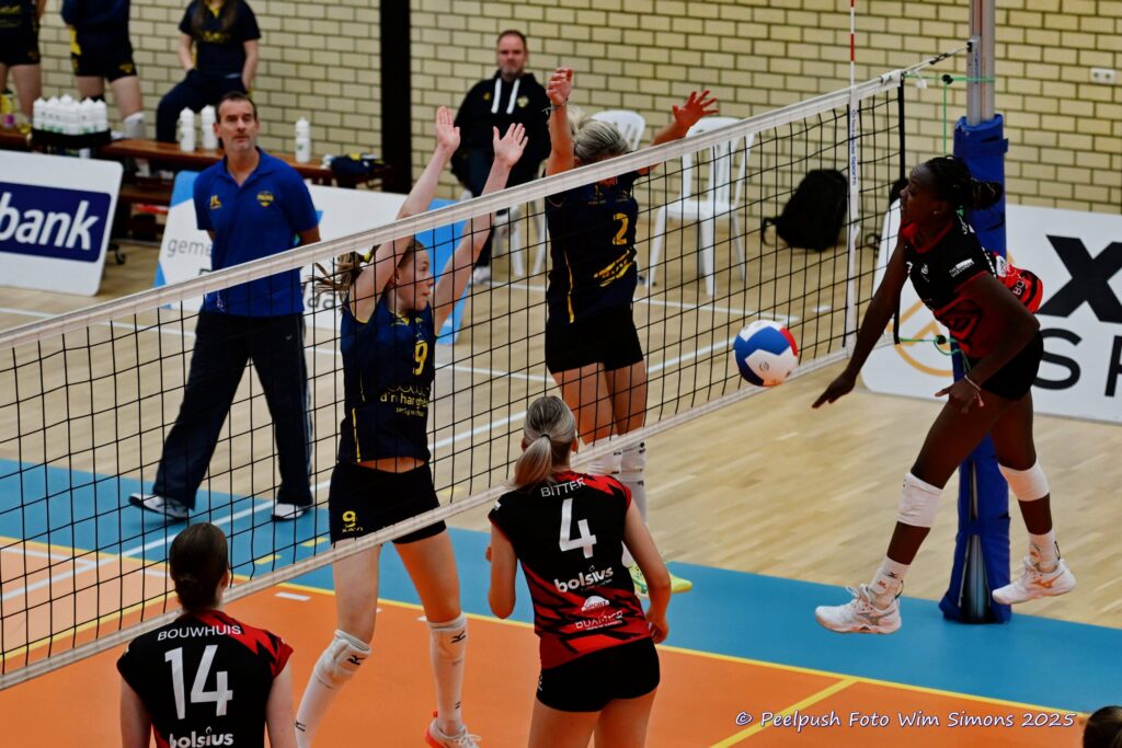 D1-Activia 28-9-25_030