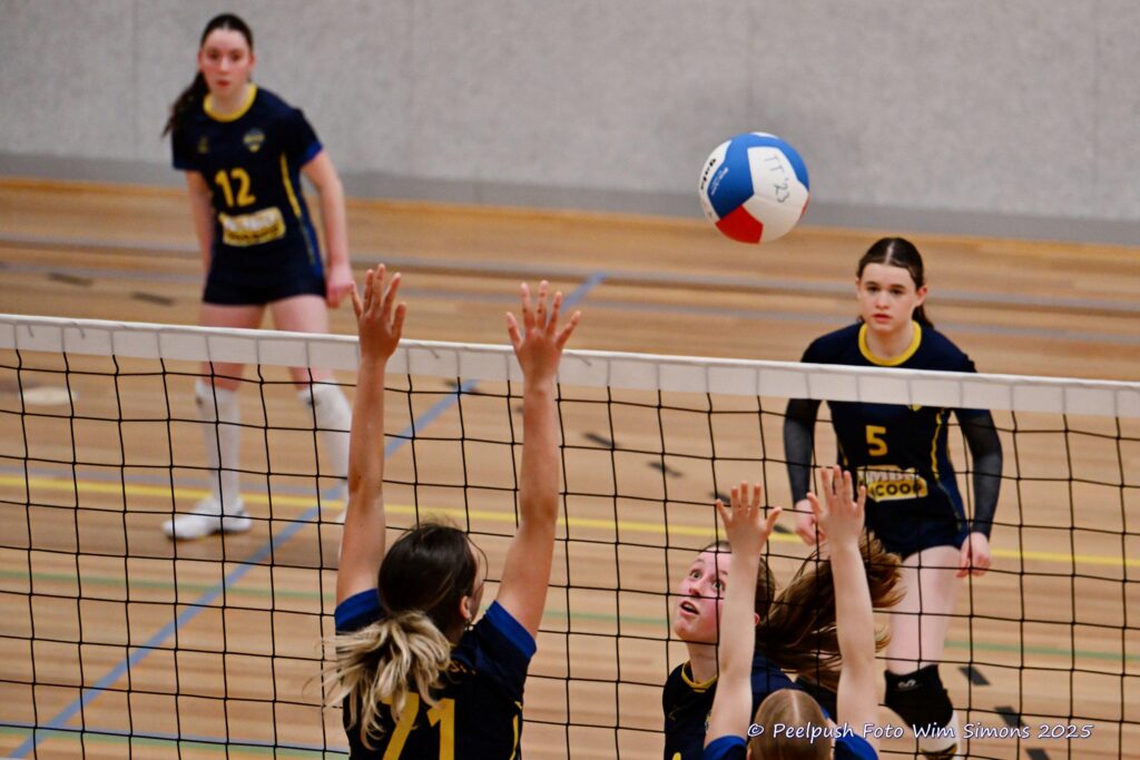 MB1-MB2-22-02-2025_054