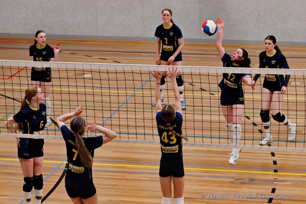 MB1-MB2-22-02-2025_065