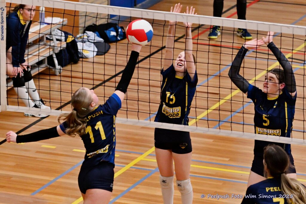 MB1-MB2-22-02-2025_071