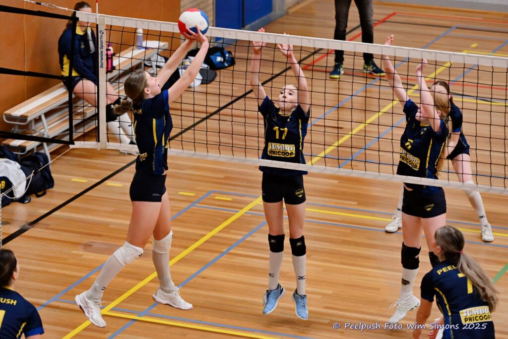 MB1-MB2-22-02-2025_074