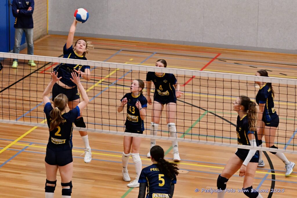 MB1-MB2 22-02-2025_086