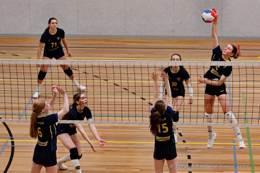 MB1-MB2-22-02-2025_093