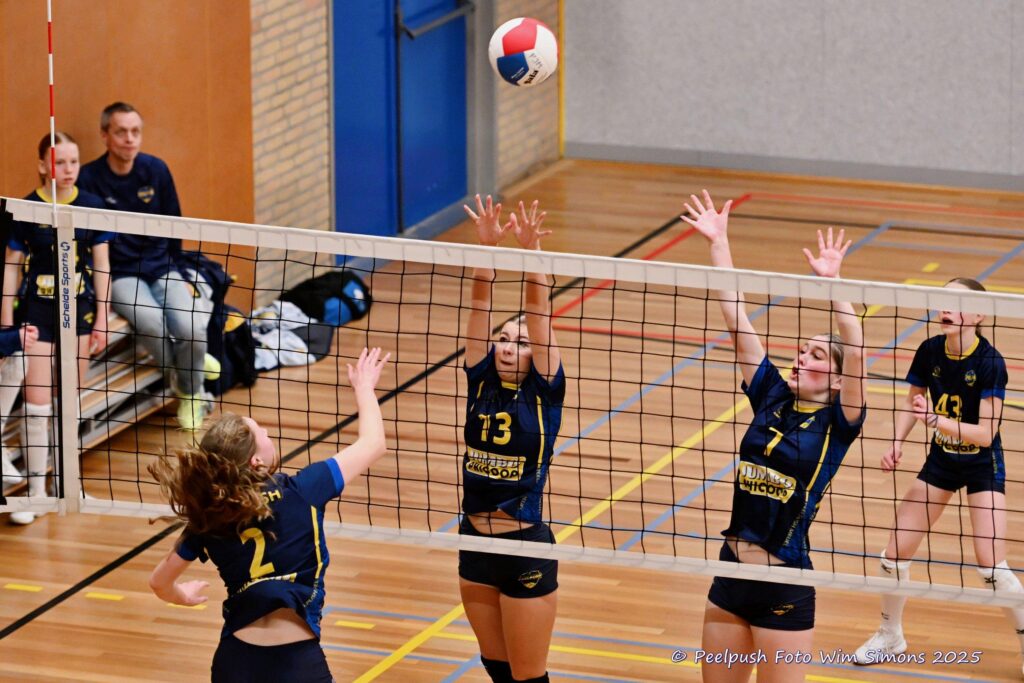 MB1-MB2-22-02-2025_099