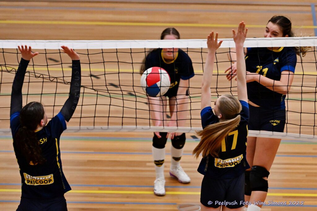 MB1-MB2-22-02-2025_105