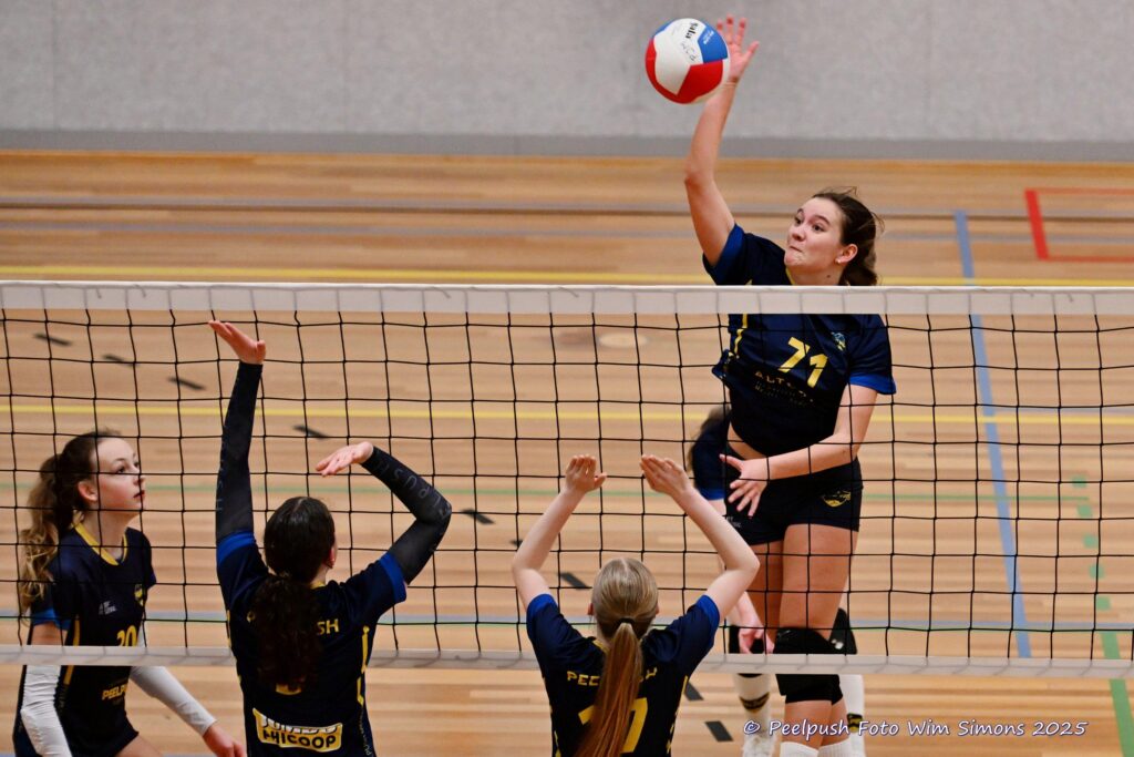 MB1-MB2-22-02-2025_106