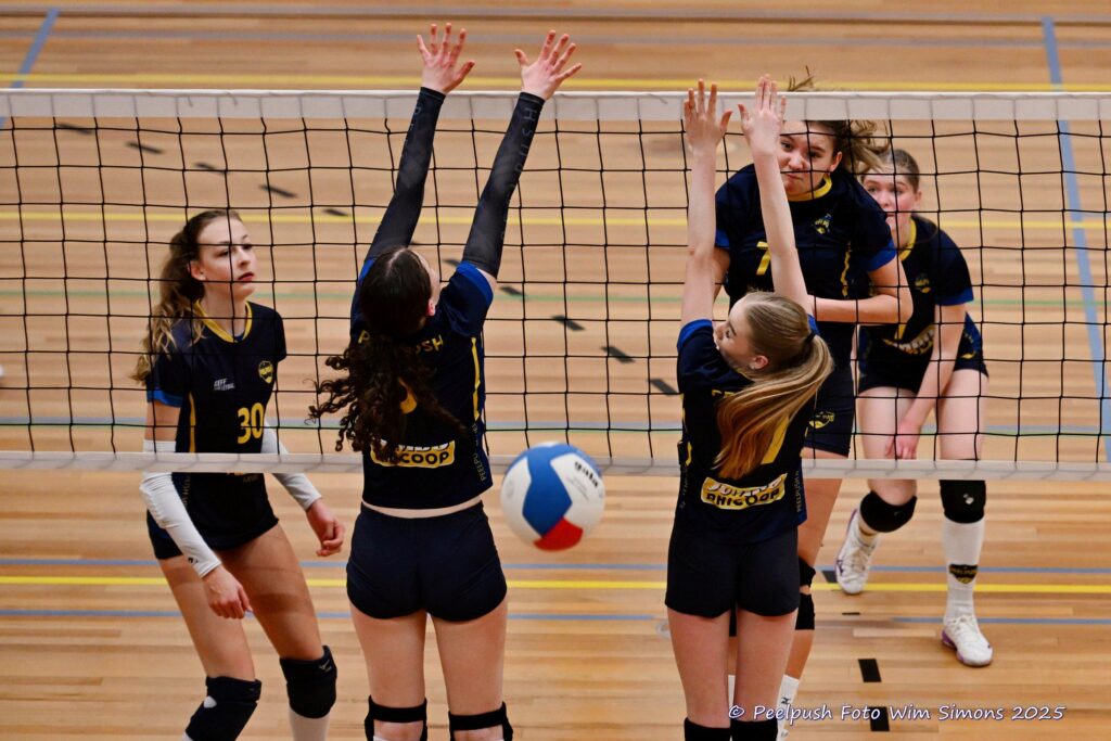 MB1-MB2-22-02-2025_107