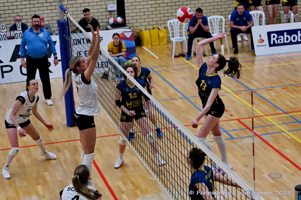 PPD1-Apollo 27-03-2025_06