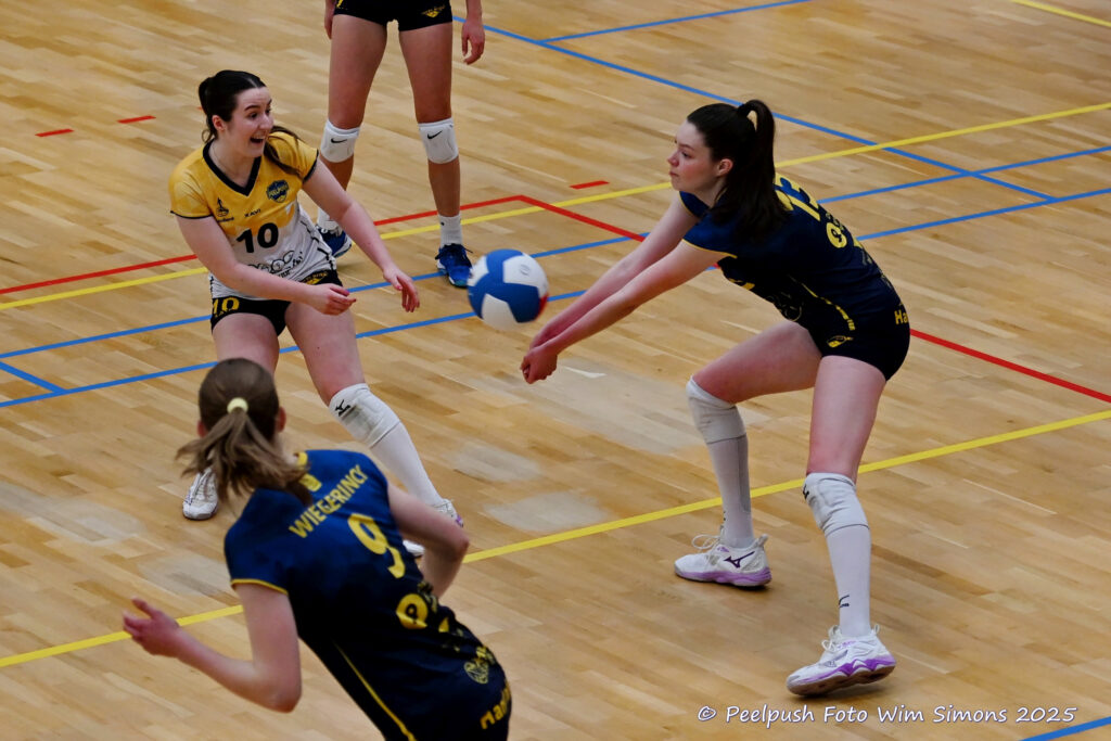 PPD1-Apollo 27-03-2025_11