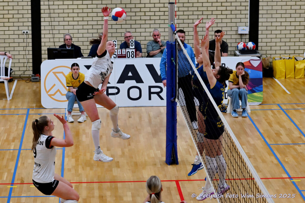 PPD1-Apollo 27-03-2025_17