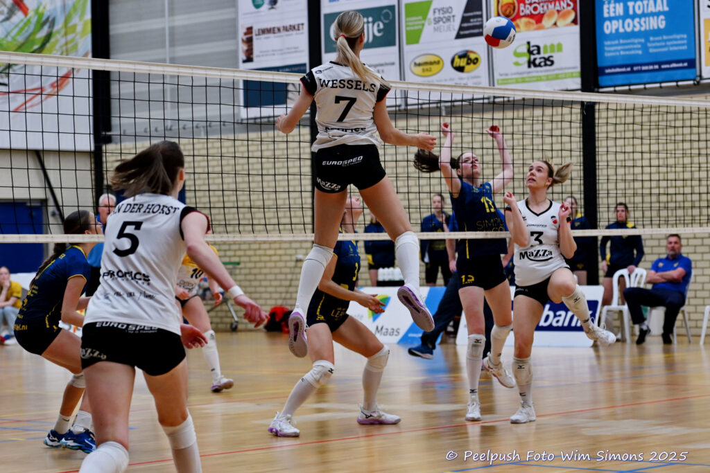 PPD1-Apollo 27-03-2025_25