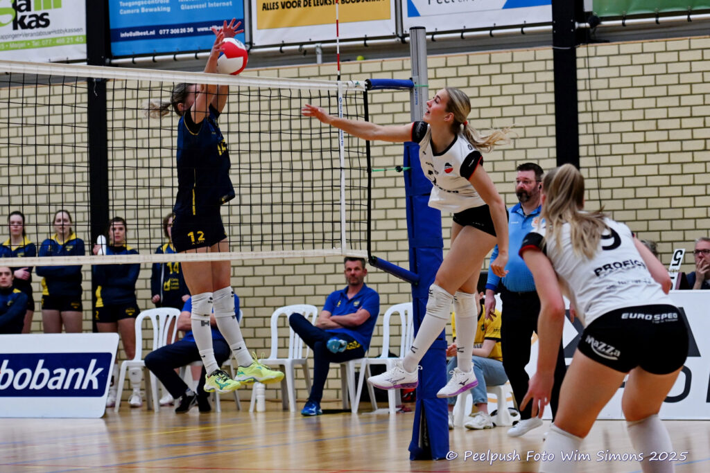 PPD1-Apollo 27-03-2025_31