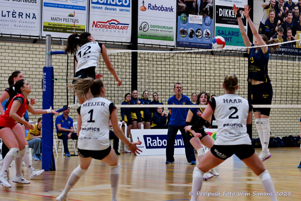 PPD1-Apollo 27-03-2025_37