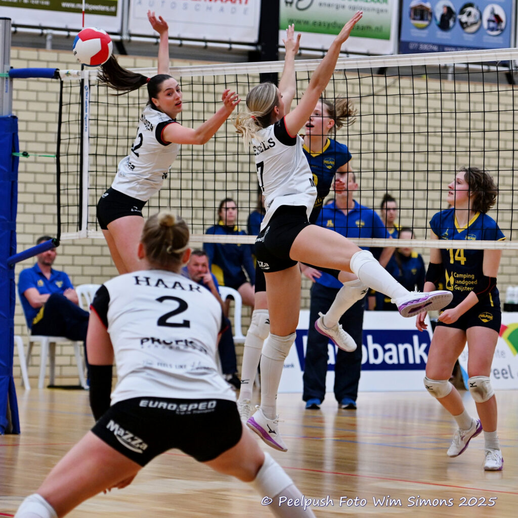 PPD1-Apollo 27-03-2025_42