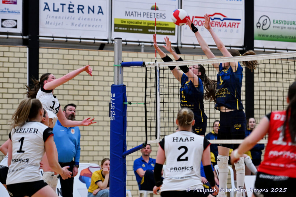 PPD1-Apollo 27-03-2025_49