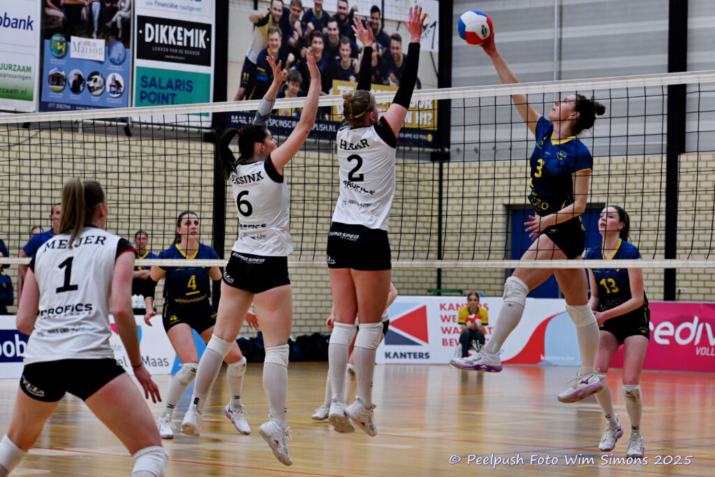 PPD1-Apollo 27-03-2025_53