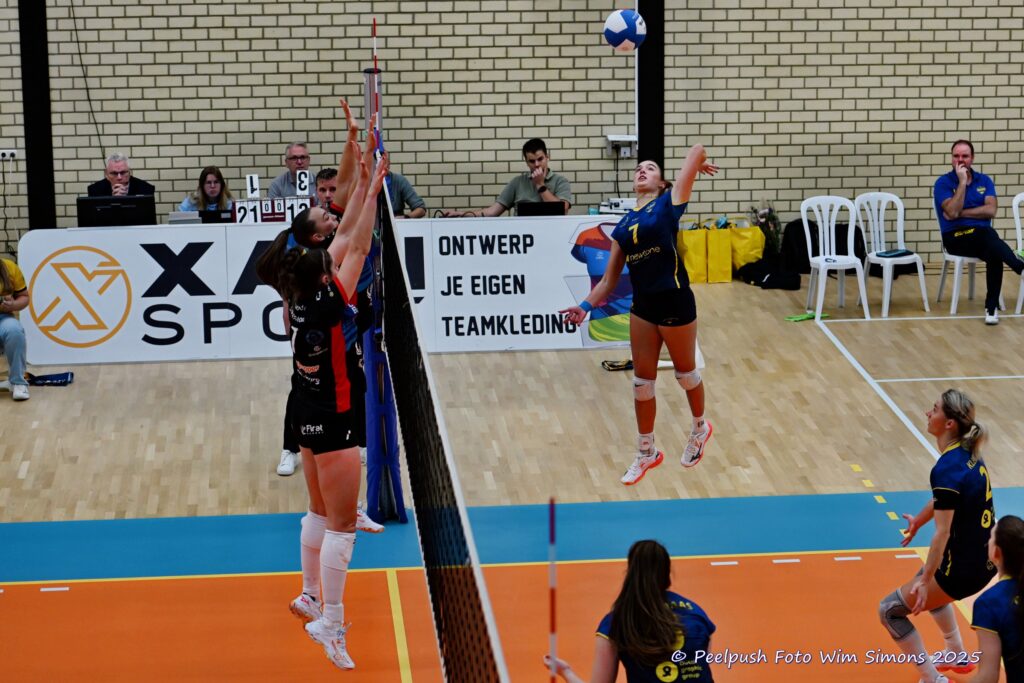 PPD1-DynamoD1 26-10-25_016