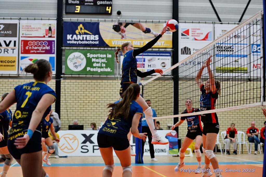 PPD1-DynamoD1 26-10-25_018