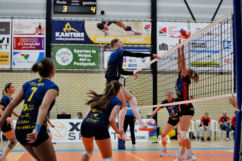 PPD1-DynamoD1 26-10-25_019