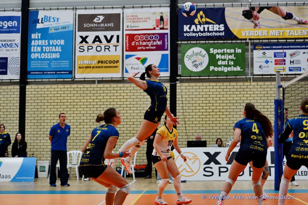 PPD1-DynamoD1 26-10-25_021