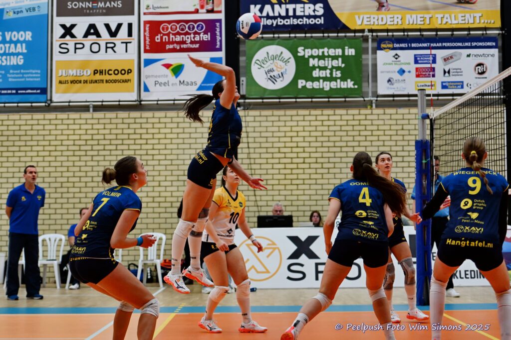 PPD1-DynamoD1 26-10-25_022