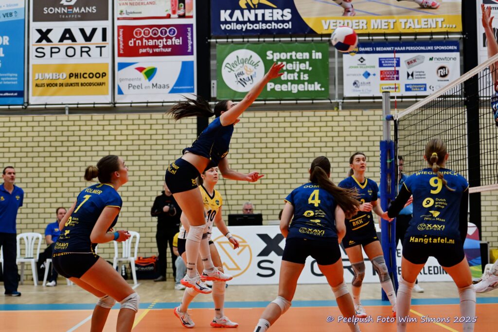 PPD1-DynamoD1 26-10-25_023