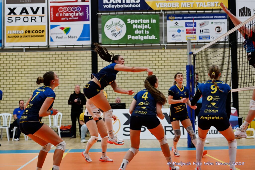 PPD1-DynamoD1 26-10-25_024