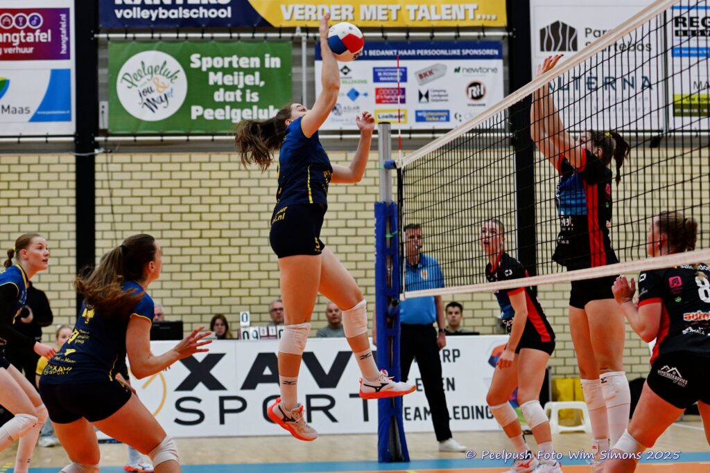 PPD1-DynamoD1 26-10-25_026