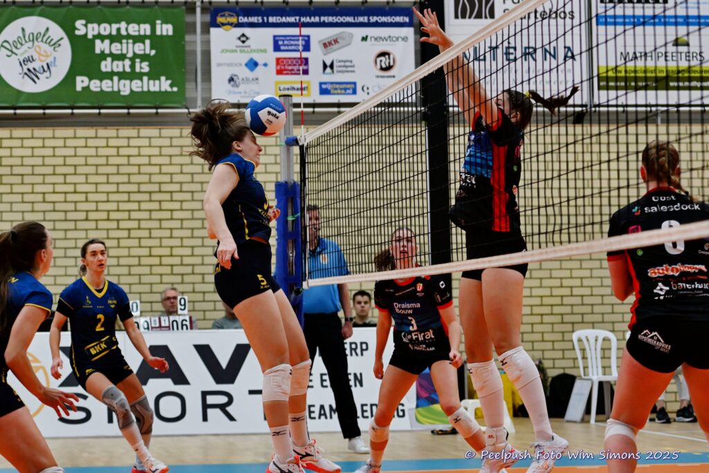 PPD1-DynamoD1 26-10-25_028