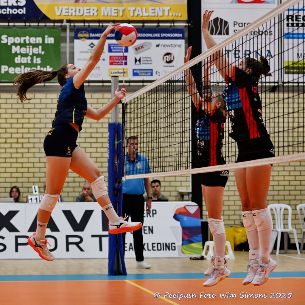 PPD1-DynamoD1 26-10-25_030