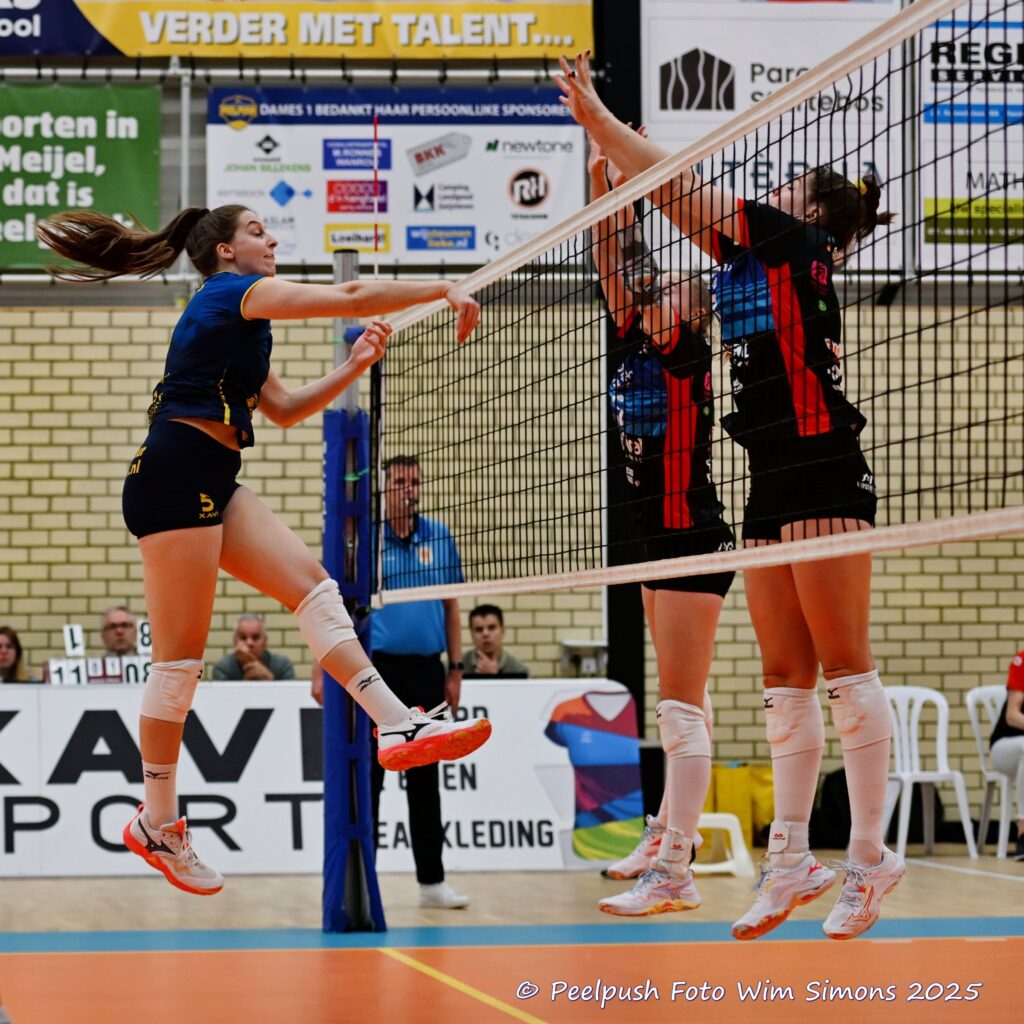 PPD1-DynamoD1 26-10-25_031