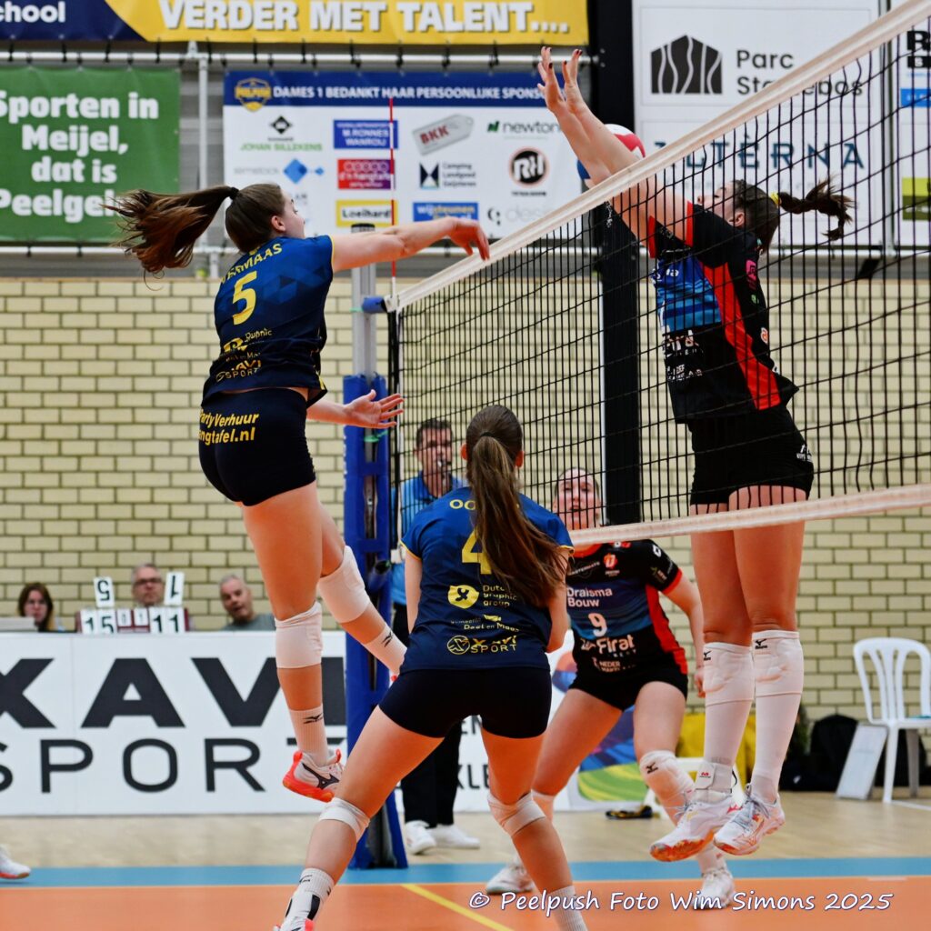 PPD1-DynamoD1 26-10-25_034