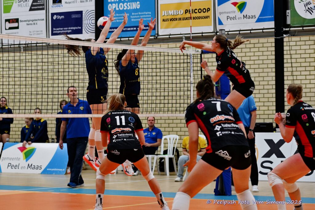 PPD1-DynamoD1 26-10-25_035