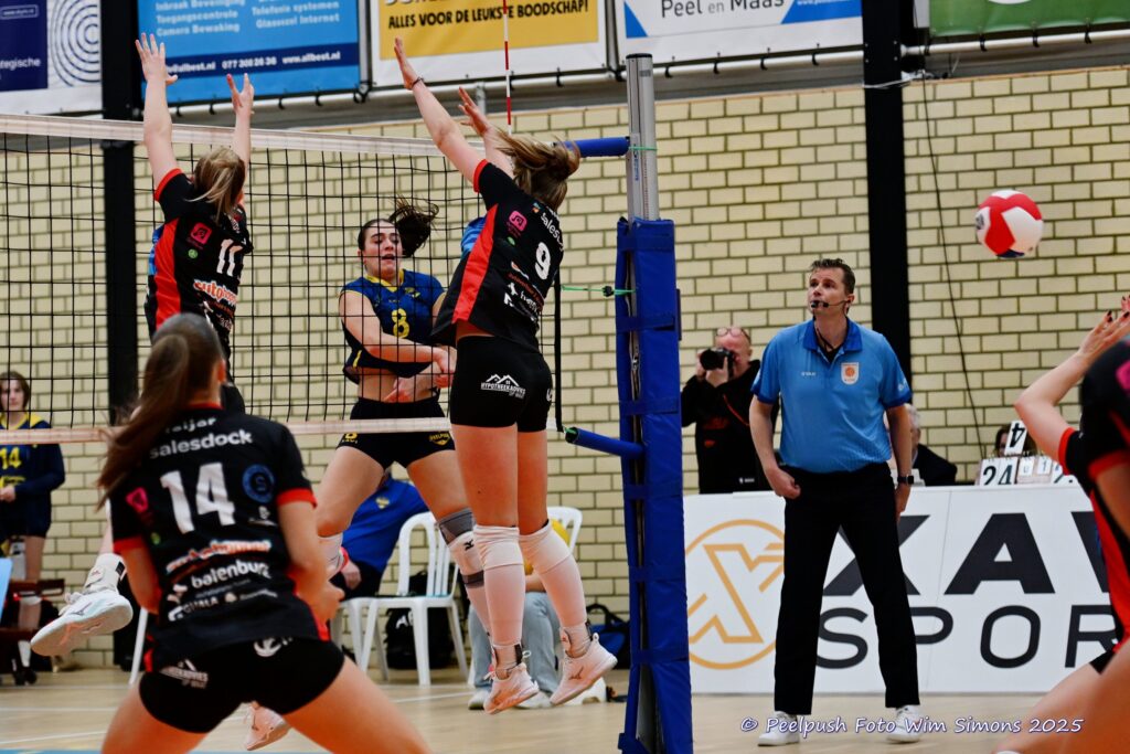 PPD1-DynamoD1 26-10-25_039