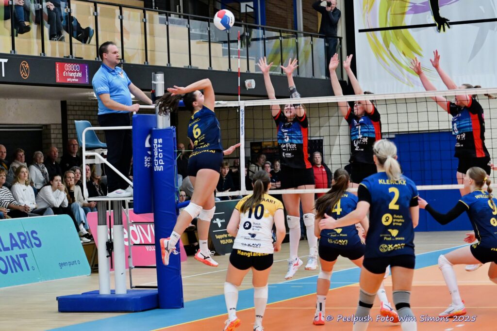 PPD1-DynamoD1 26-10-25_053