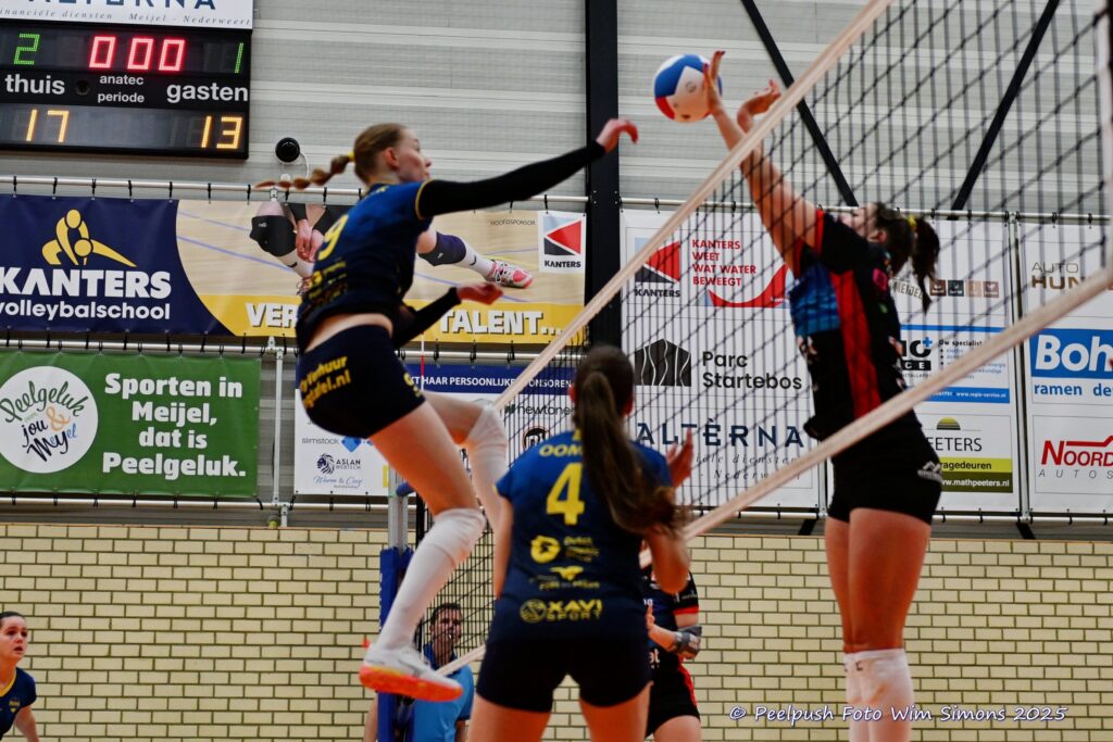 PPD1-DynamoD1 26-10-25_067