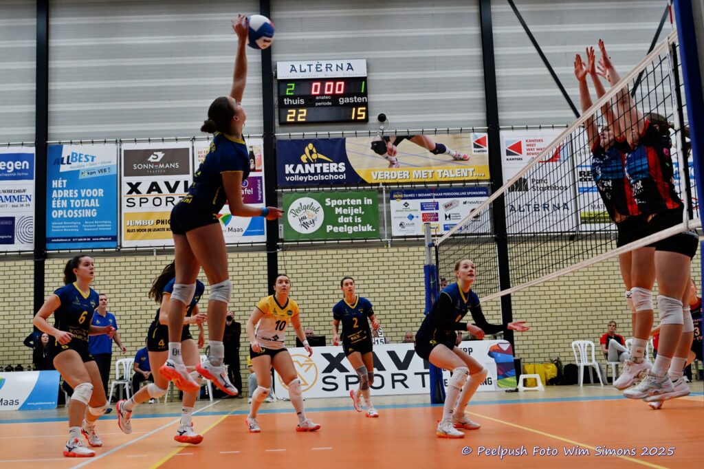 PPD1-DynamoD1 26-10-25_069