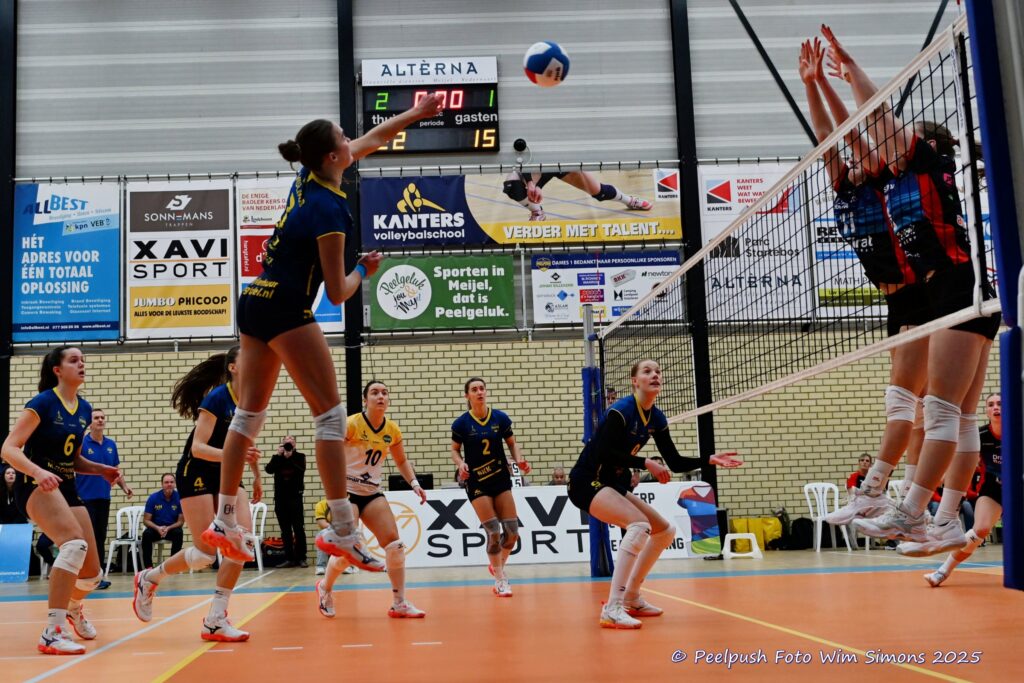 PPD1-DynamoD1 26-10-25_070