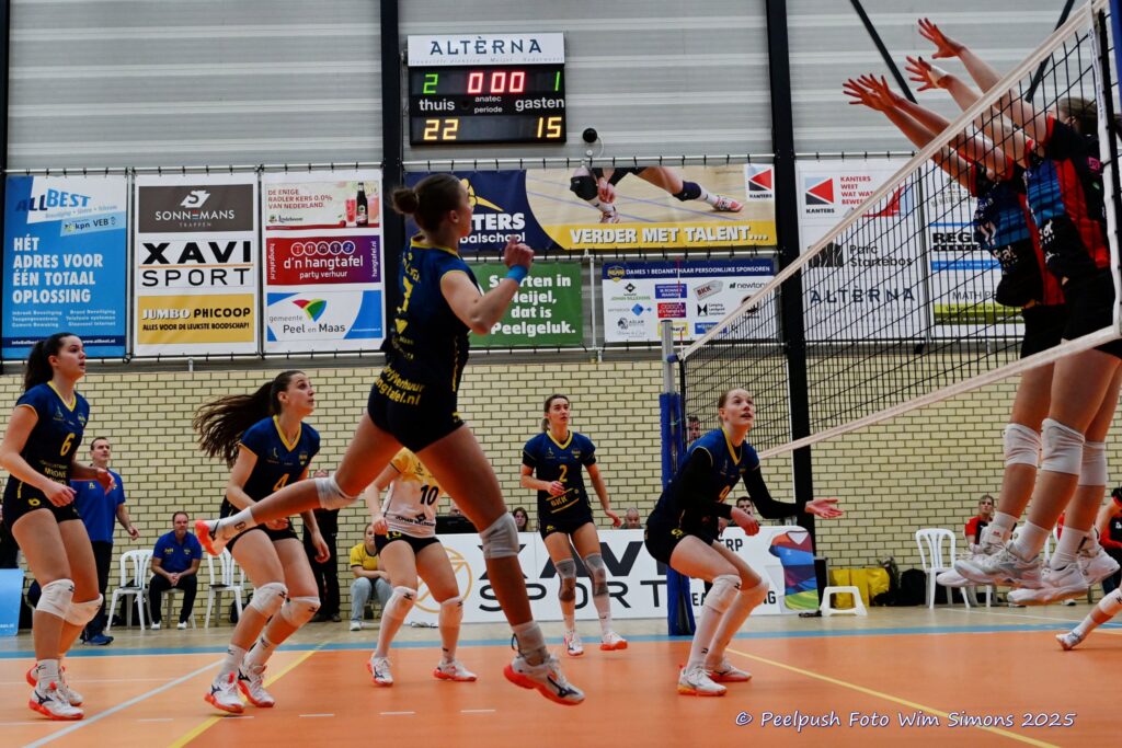 PPD1-DynamoD1 26-10-25_071