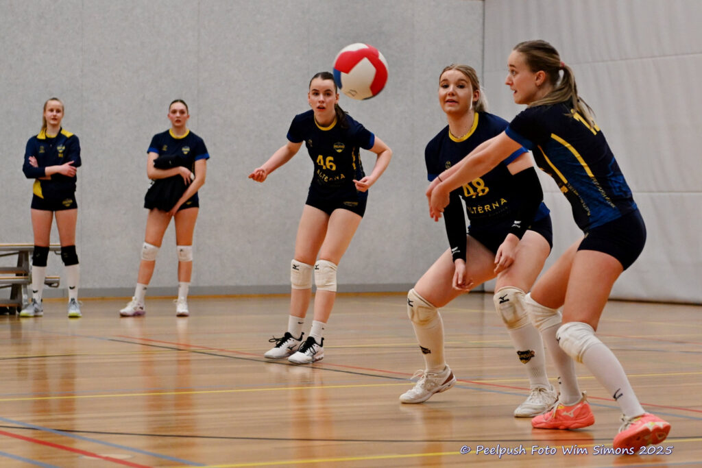 PPD4-Hovoc3 29-03-2025_021