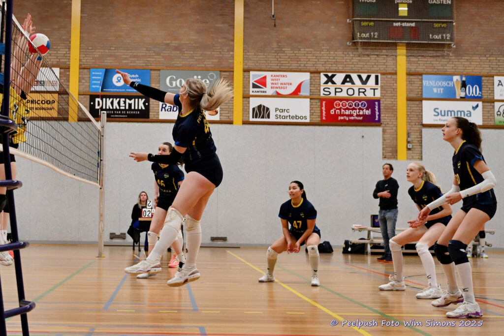 PPD4-Hovoc3 29-03-2025_031