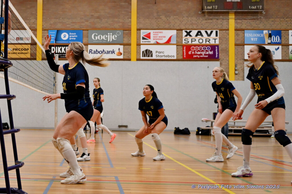 PPD4-Hovoc3 29-03-2025_032