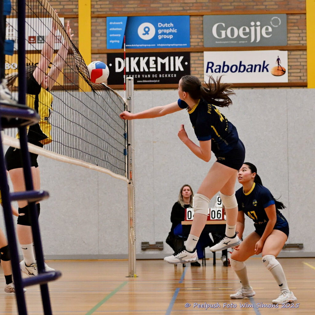 PPD4-Hovoc3 29-03-2025_042