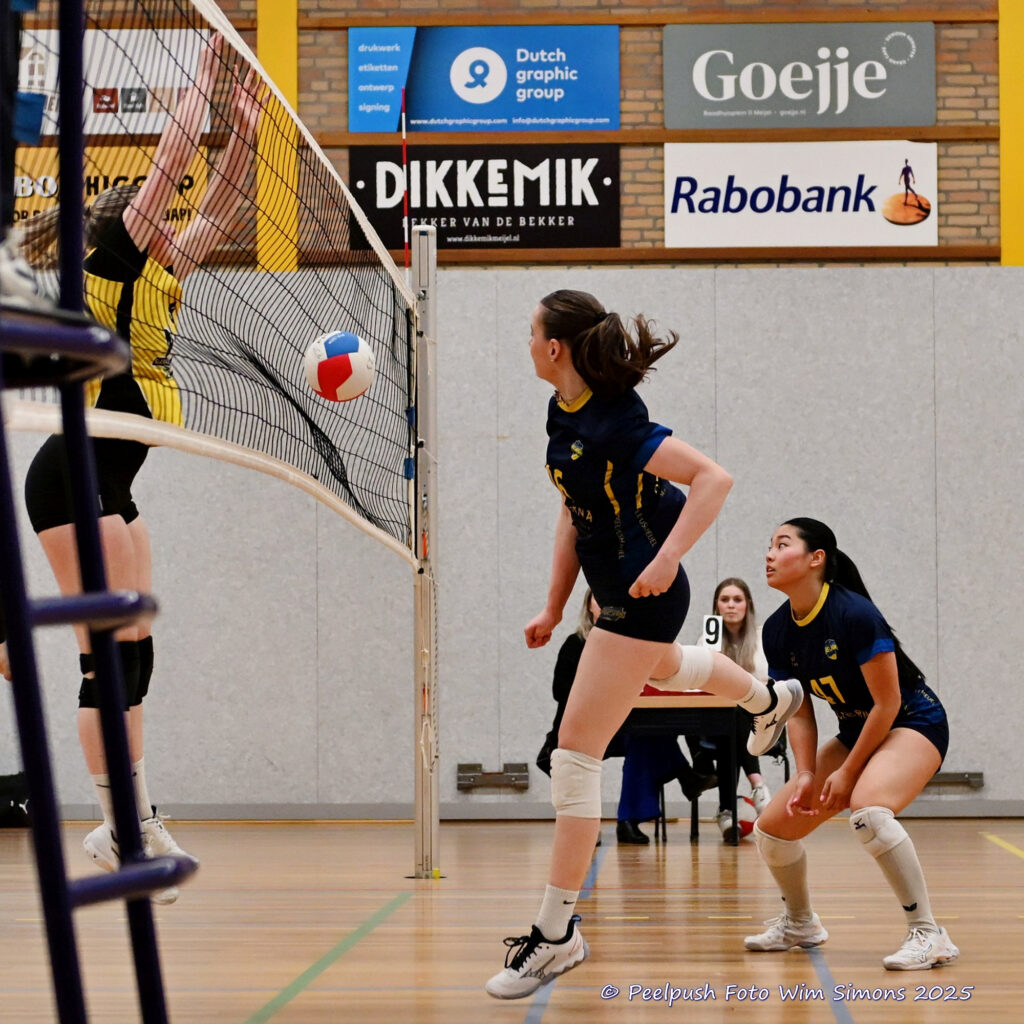 PPD4-Hovoc3 29-03-2025_043