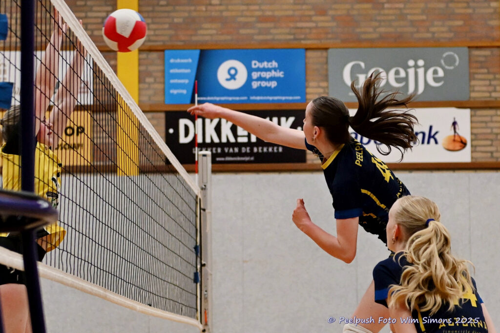 PPD4-Hovoc3 29-03-2025_046