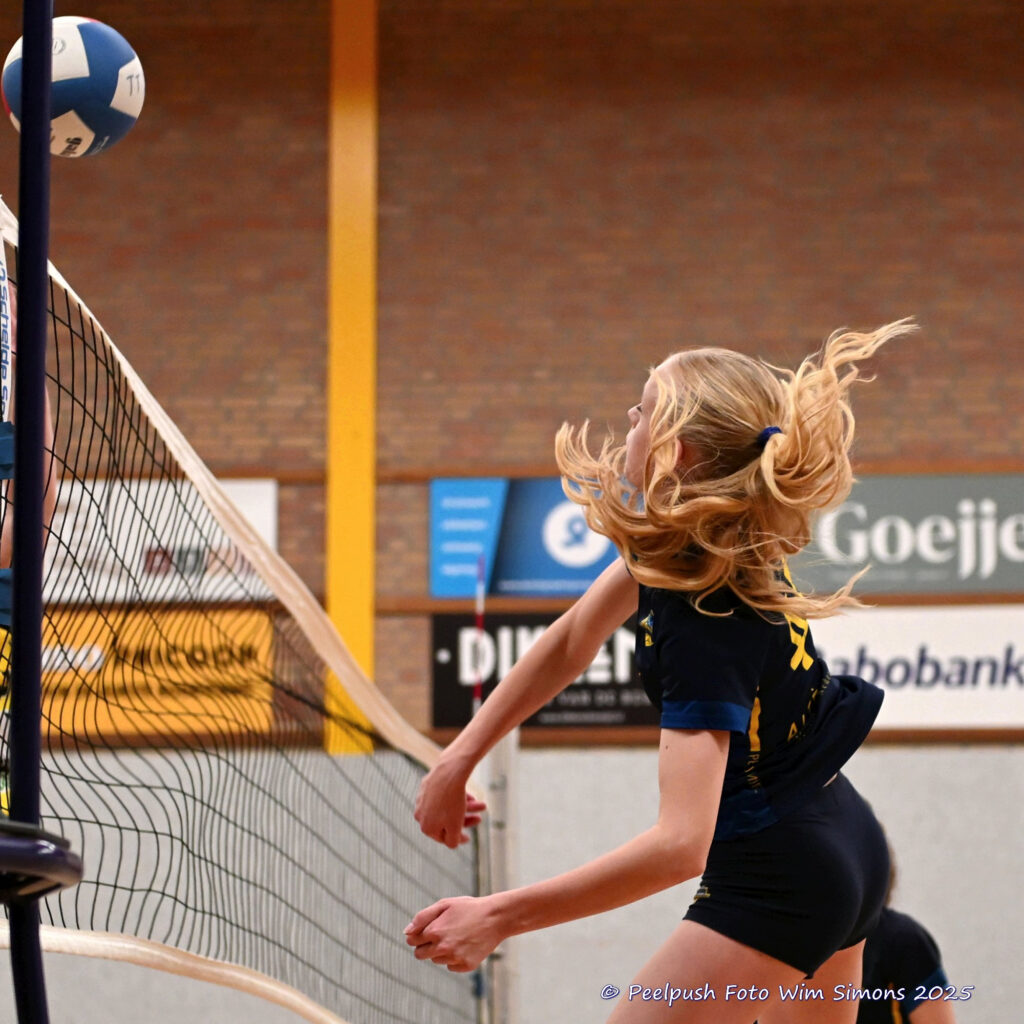 PPD4-Hovoc3 29-03-2025_053